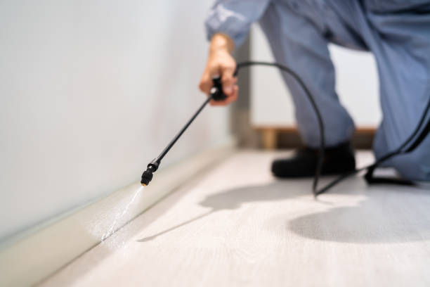 Licensed Pest Control service in Park City, MT - Show Me Pest Control
